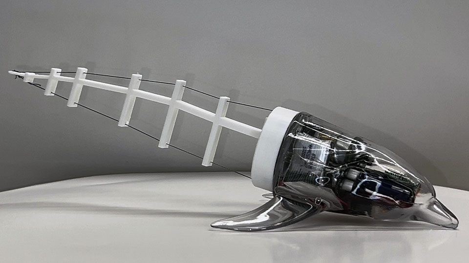 Tensegrity dolphin robot