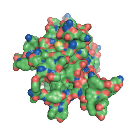 Preview for Characterizing the space of interatomic distance distribution functions consistent with solution scattering data