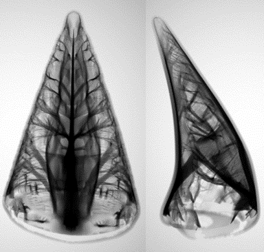 Preview for Narrow-band Topology Optimization on a Sparsely Populated Grid