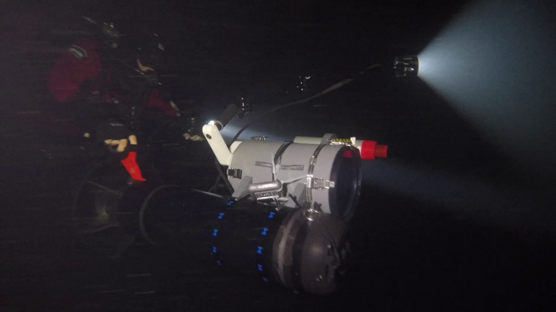 Preview for A Modular Sensor Suite for Underwater Reconstruction